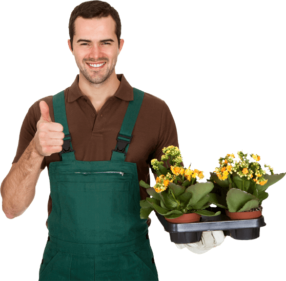 Person Holding a Tray of Flowers